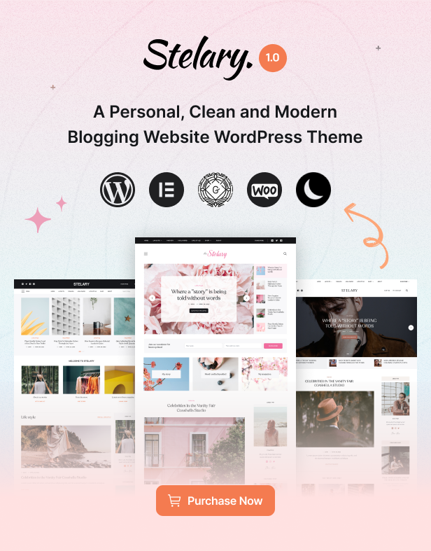 Stelary - Multipurpose Blog & Magazine WordPress Theme - 1