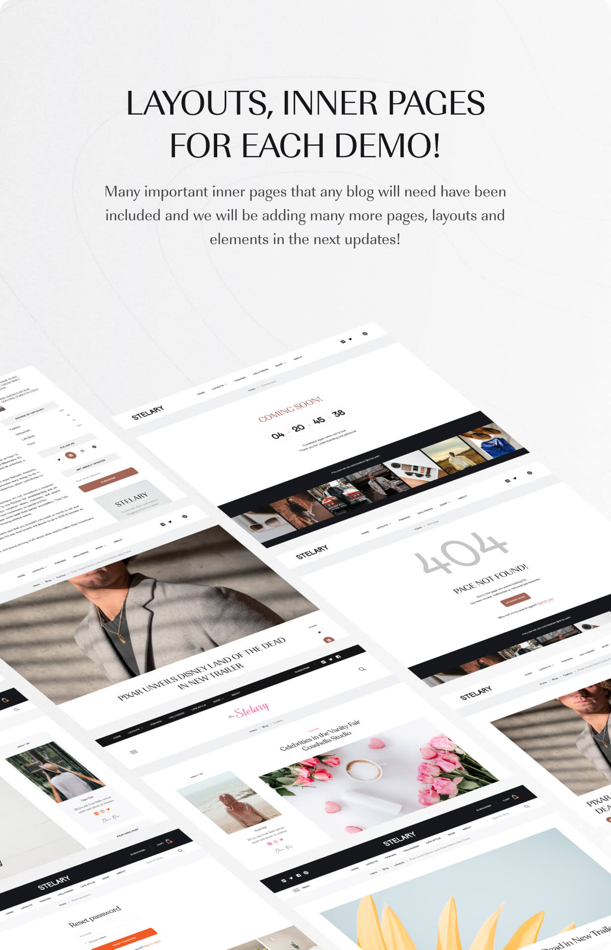 Stelary - Multipurpose Blog & Magazine WordPress Theme - 3