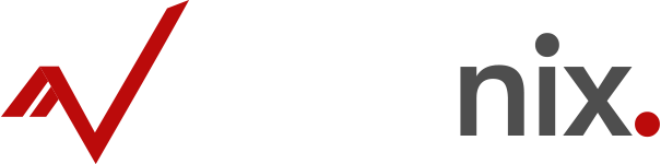 Finanix - Business Consulting