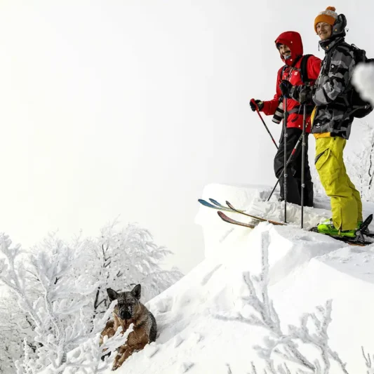 5 Must-Know Skiing Tips for Beginners